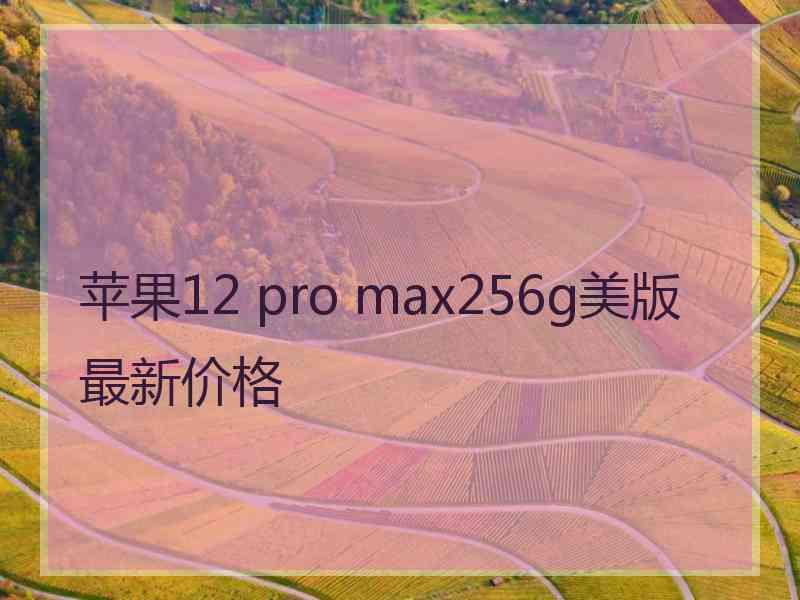 苹果12 pro max256g美版最新价格