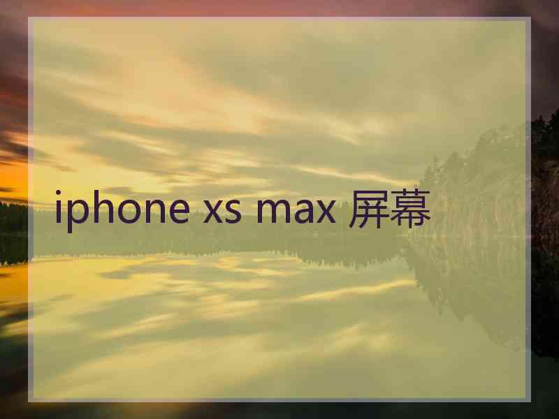 iphone xs max 屏幕