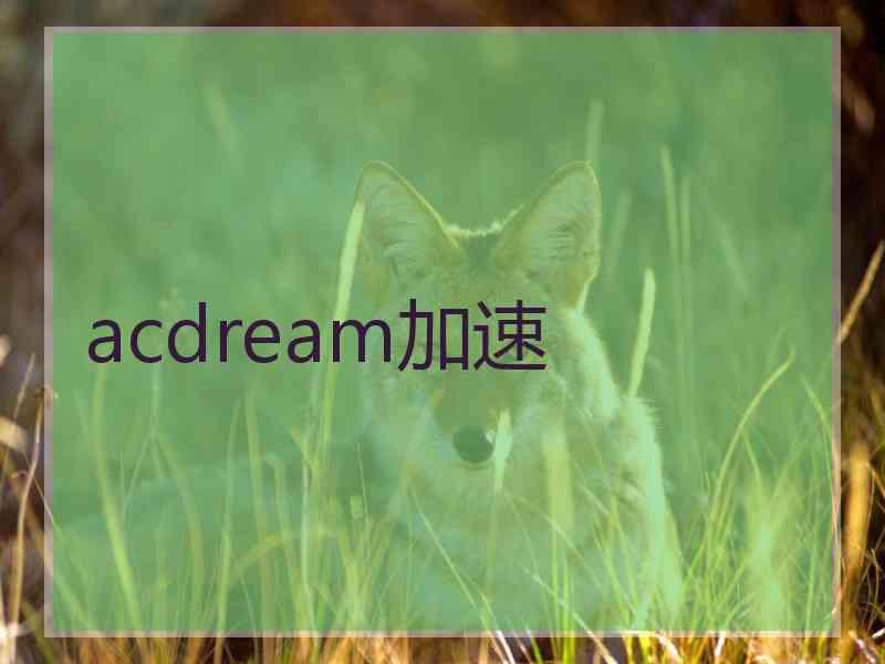 acdream加速