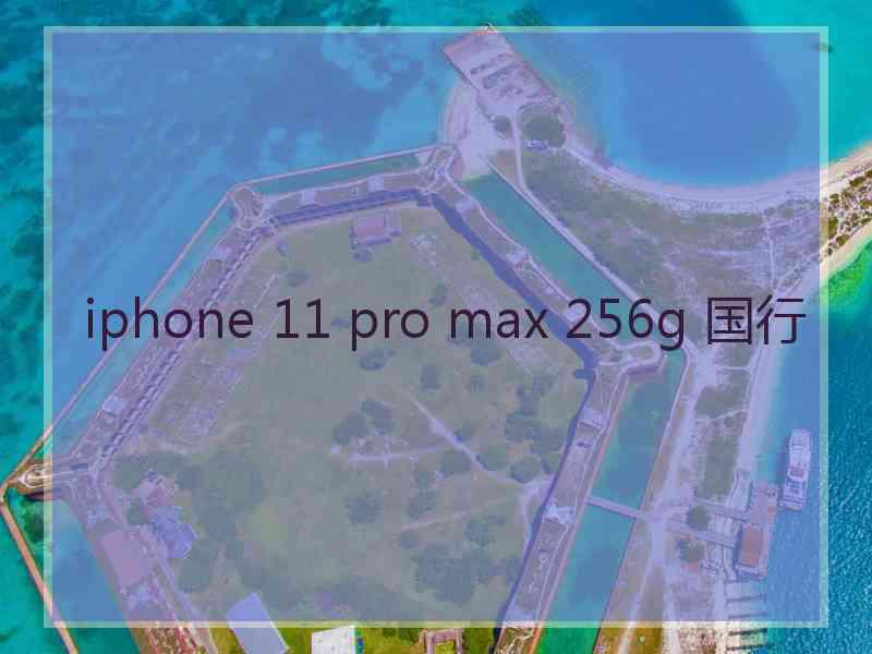 iphone 11 pro max 256g 国行