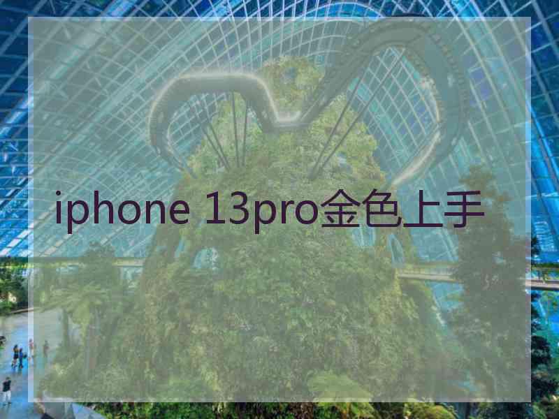 iphone 13pro金色上手