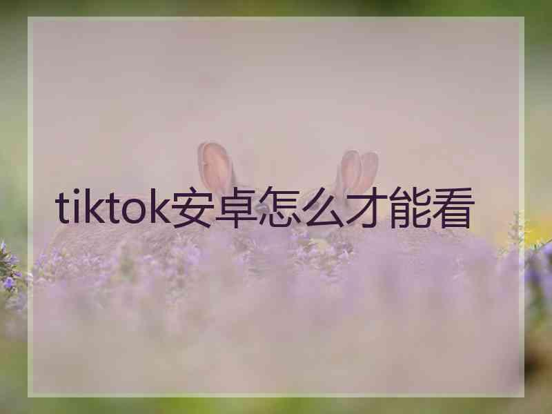 tiktok安卓怎么才能看