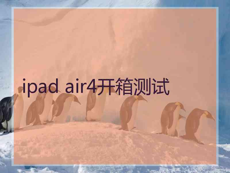 ipad air4开箱测试