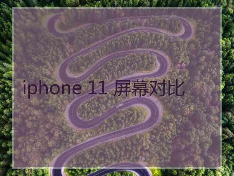 iphone 11 屏幕对比