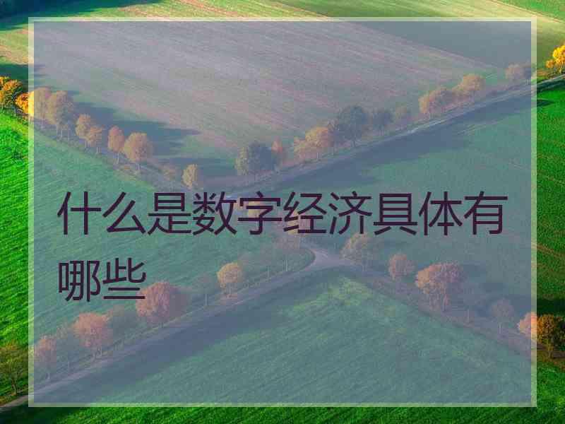 什么是数字经济具体有哪些