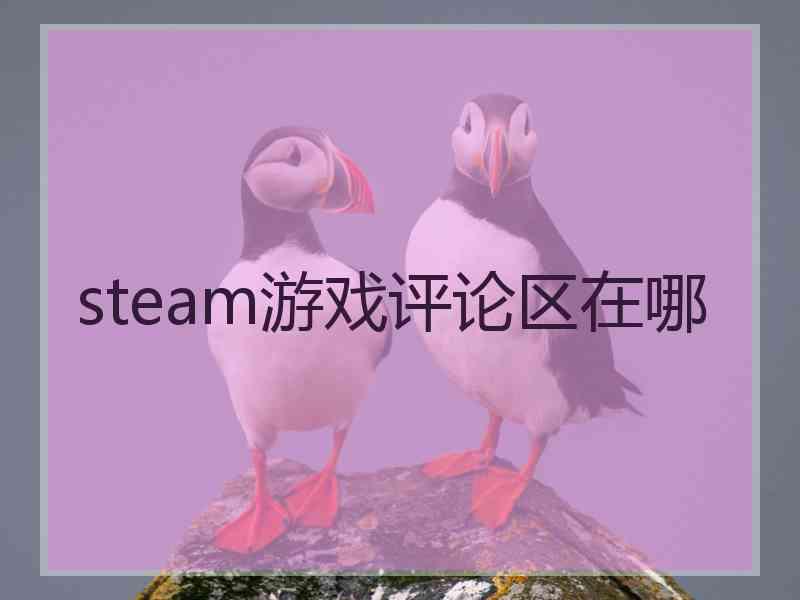 steam游戏评论区在哪