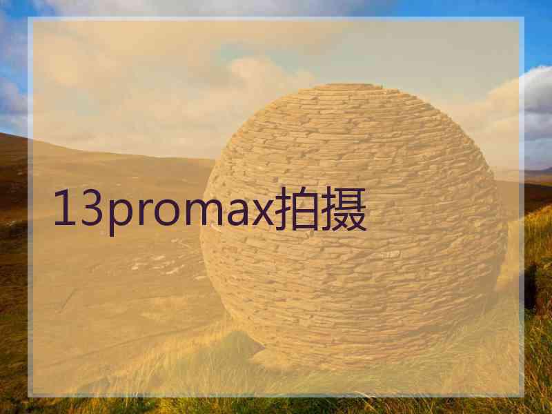 13promax拍摄