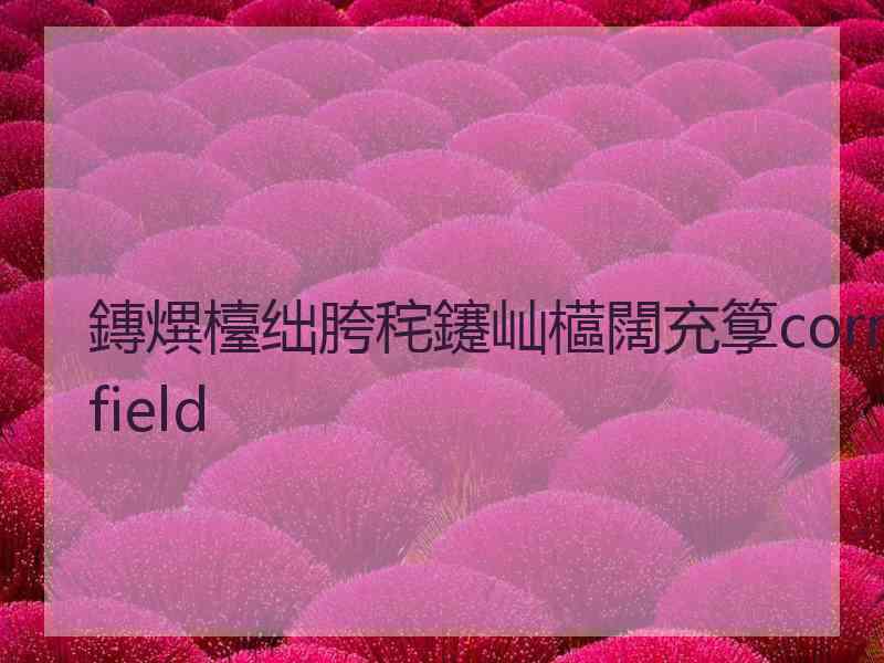 鏄熼檯绌胯秺鑳屾櫙闊充箰cornfield