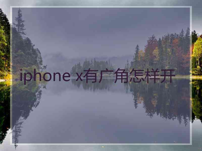 iphone x有广角怎样开