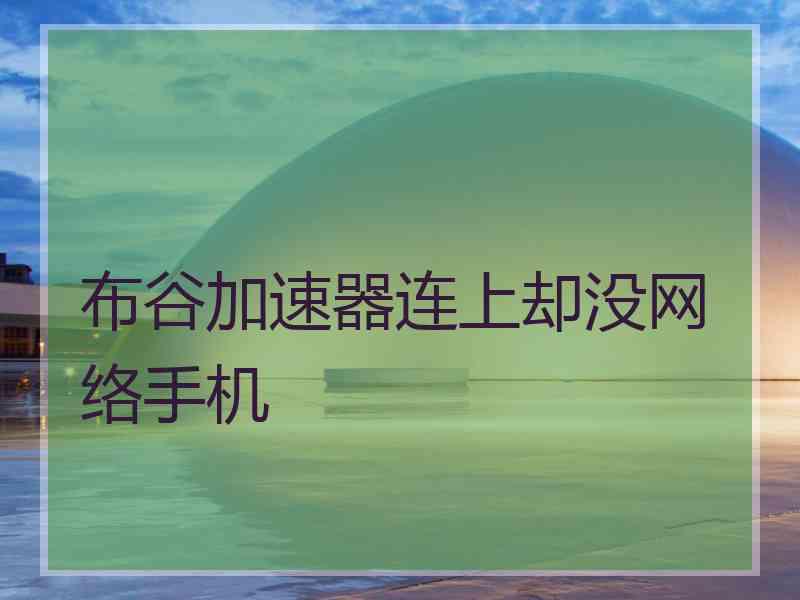 布谷加速器连上却没网络手机