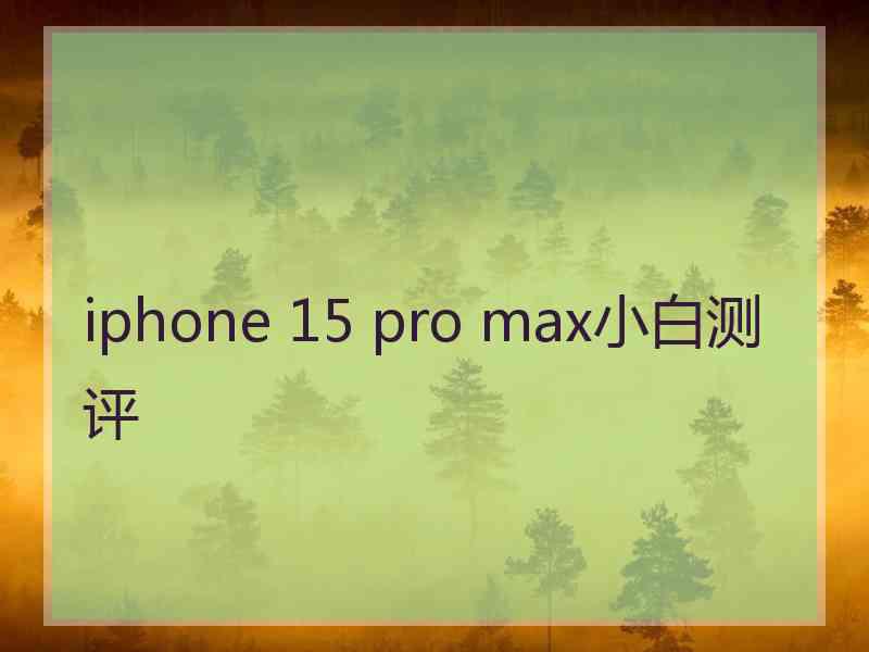 iphone 15 pro max小白测评