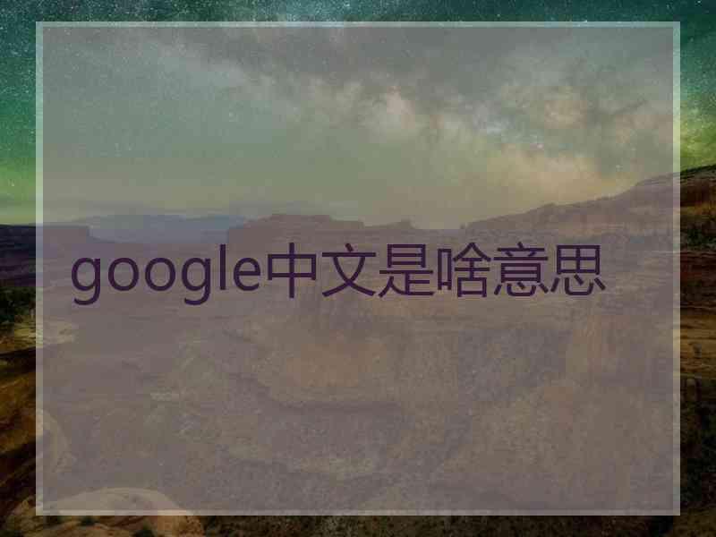 google中文是啥意思