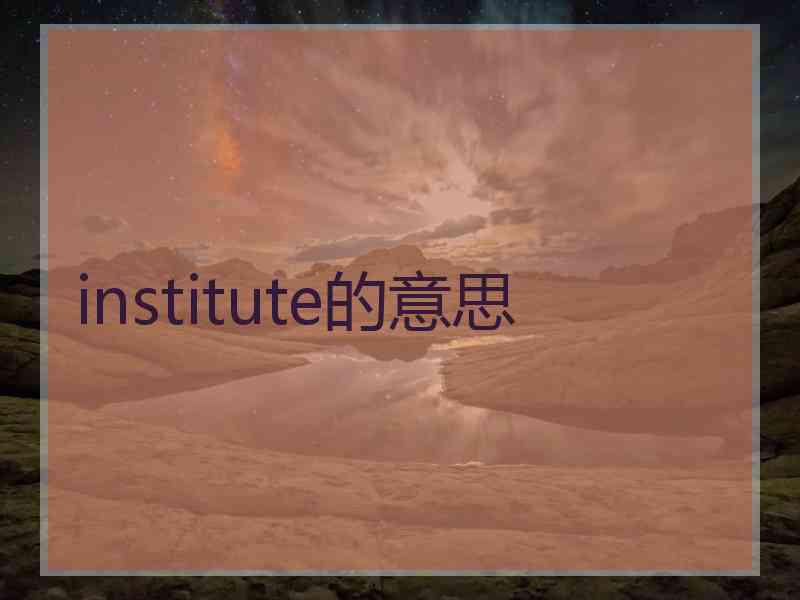 institute的意思