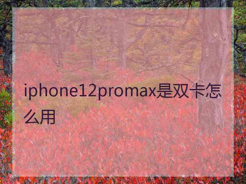 iphone12promax是双卡怎么用