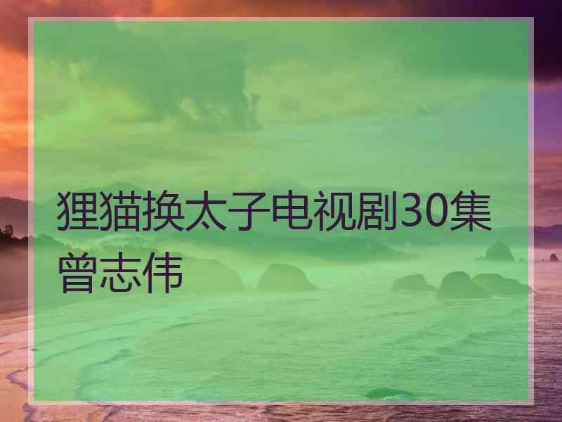 狸猫换太子电视剧30集曾志伟