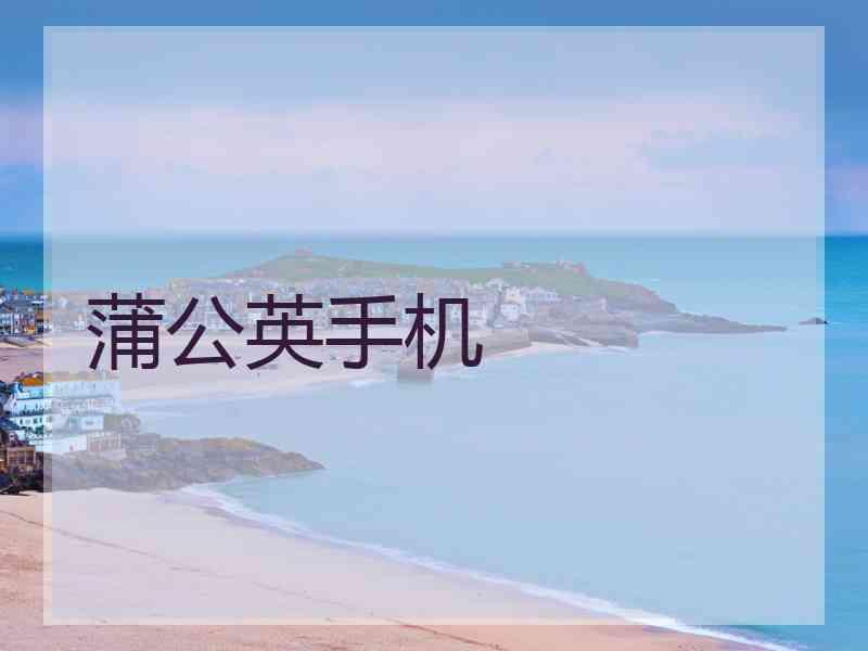 蒲公英手机