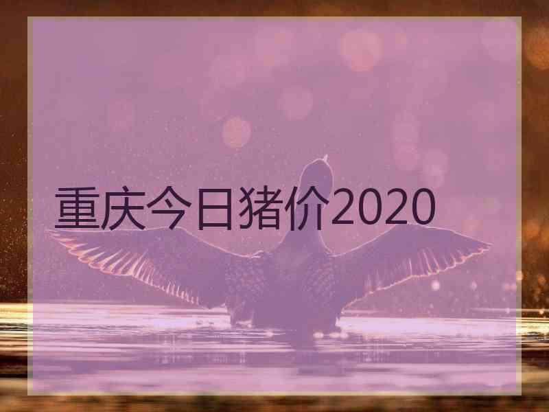 重庆今日猪价2020