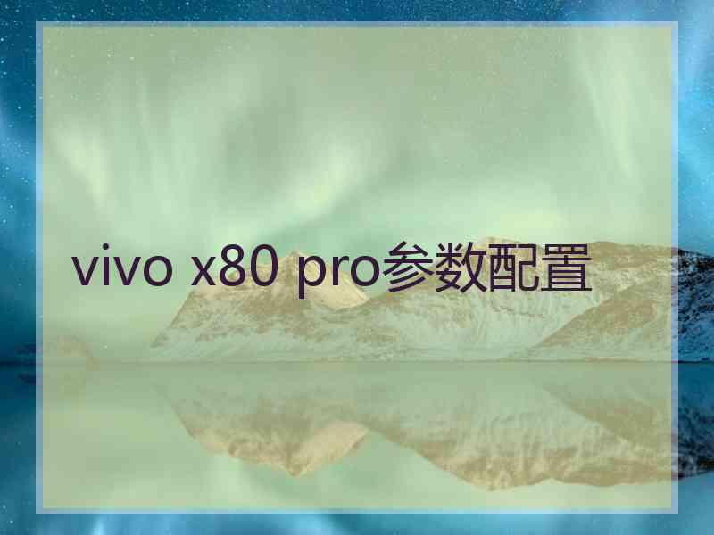 vivo x80 pro参数配置