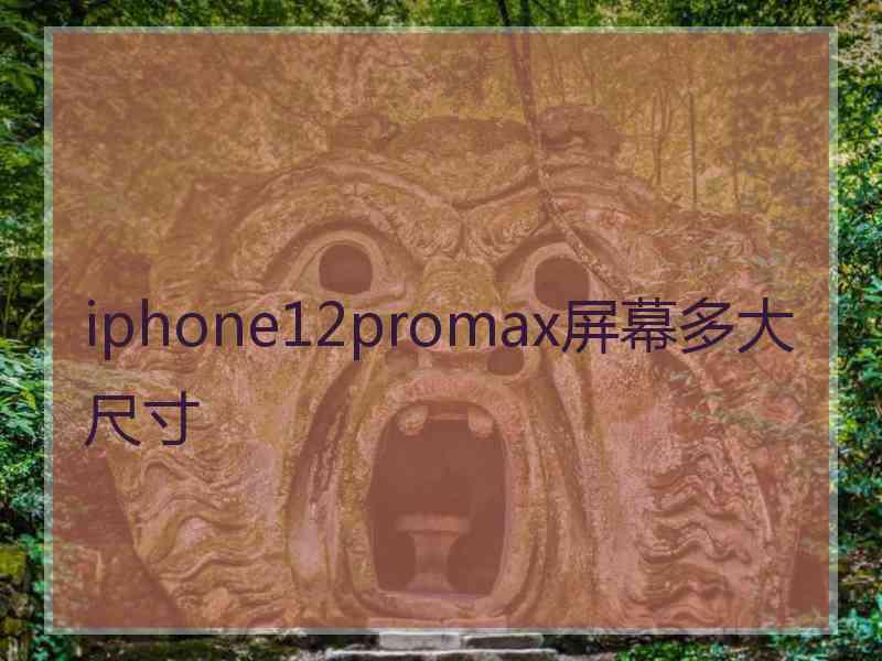 iphone12promax屏幕多大尺寸