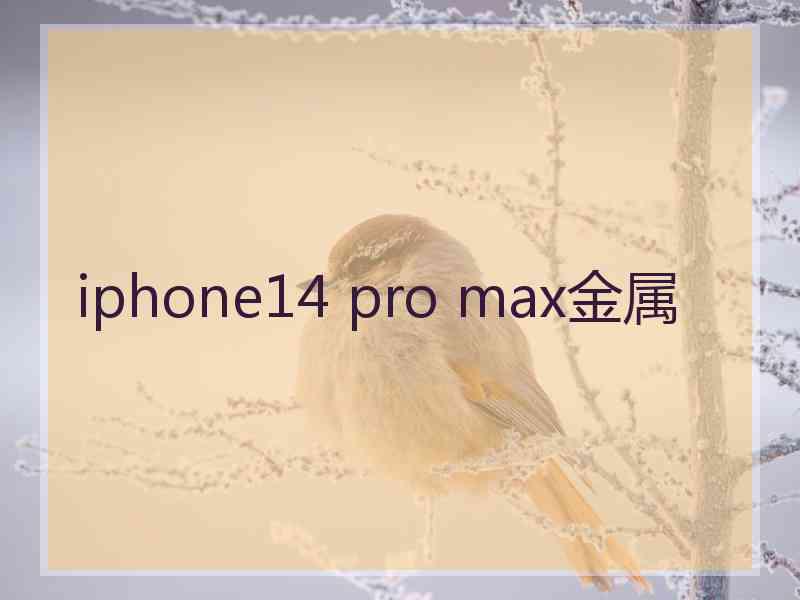 iphone14 pro max金属