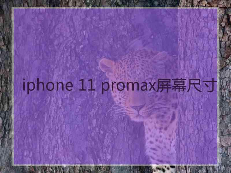 iphone 11 promax屏幕尺寸