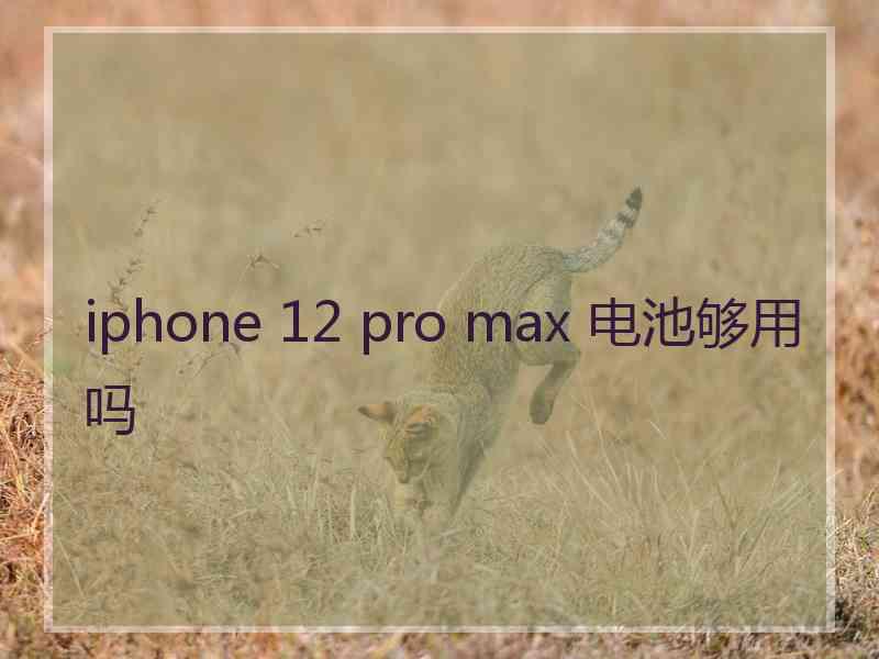 iphone 12 pro max 电池够用吗