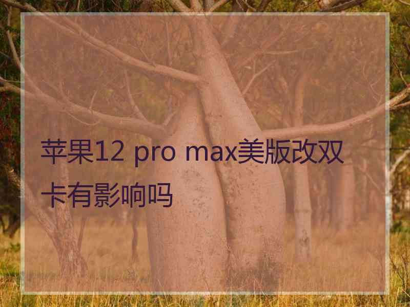 苹果12 pro max美版改双卡有影响吗