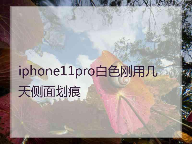 iphone11pro白色刚用几天侧面划痕