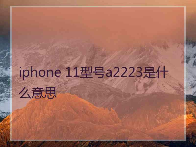 iphone 11型号a2223是什么意思