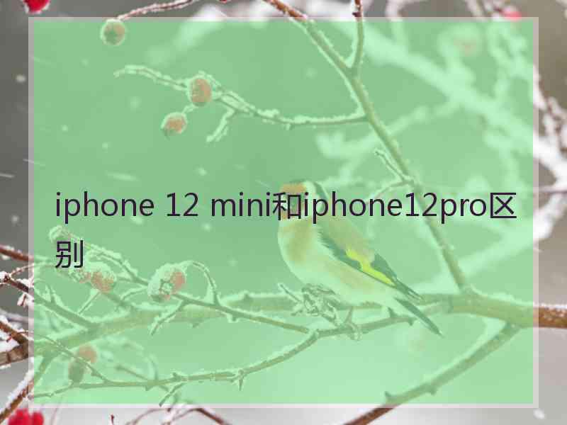 iphone 12 mini和iphone12pro区别