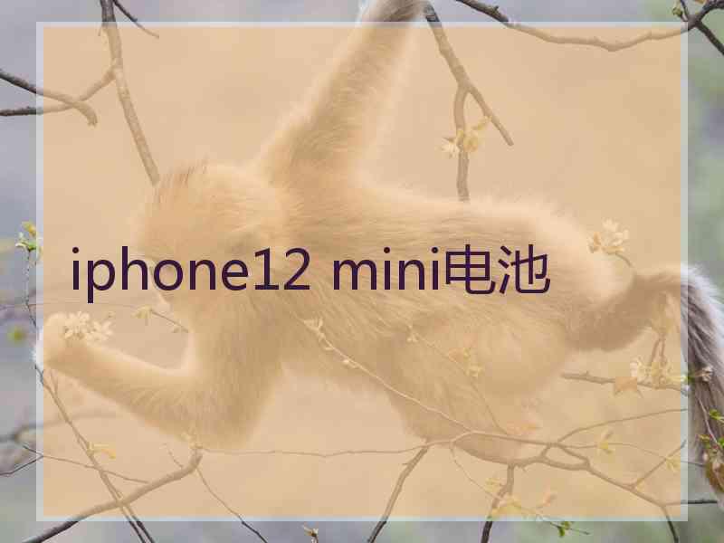 iphone12 mini电池