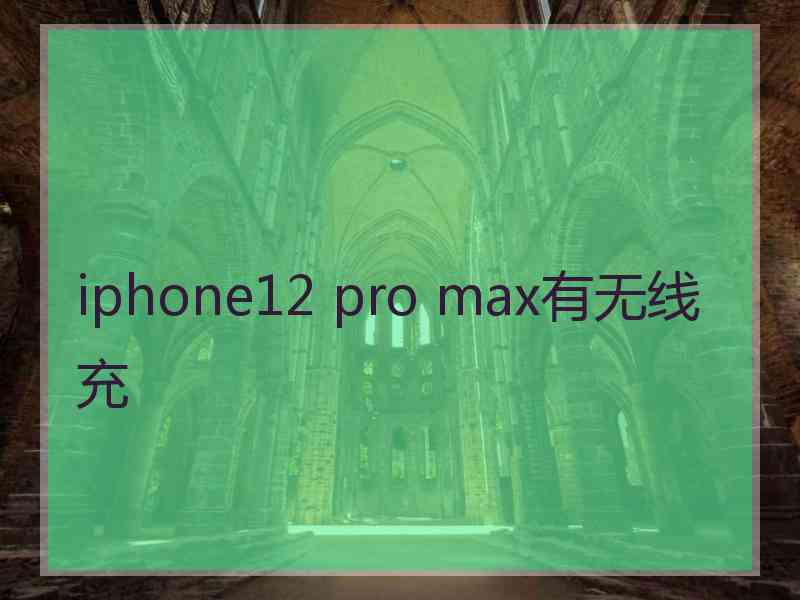 iphone12 pro max有无线充