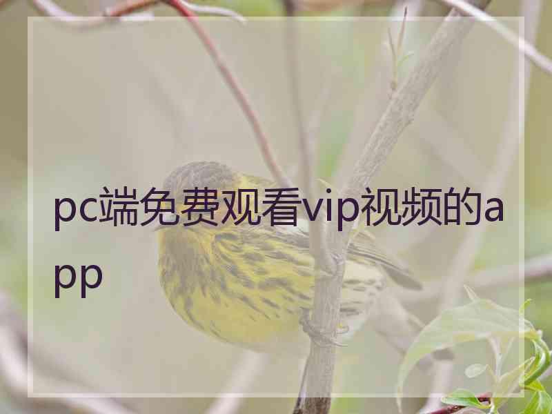 pc端免费观看vip视频的app