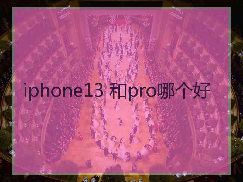 iphone13 和pro哪个好