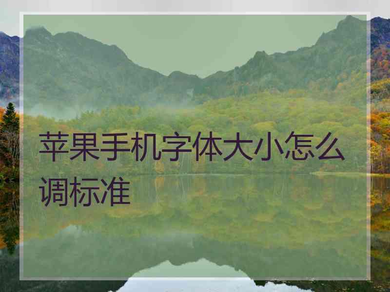 苹果手机字体大小怎么调标准