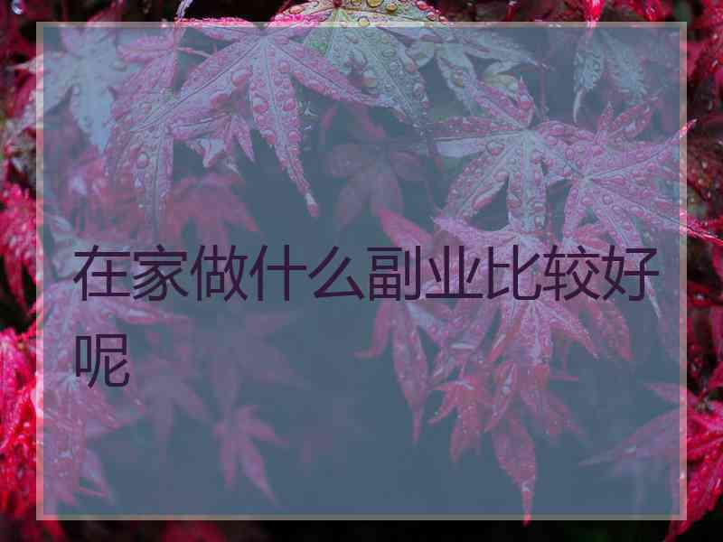 在家做什么副业比较好呢