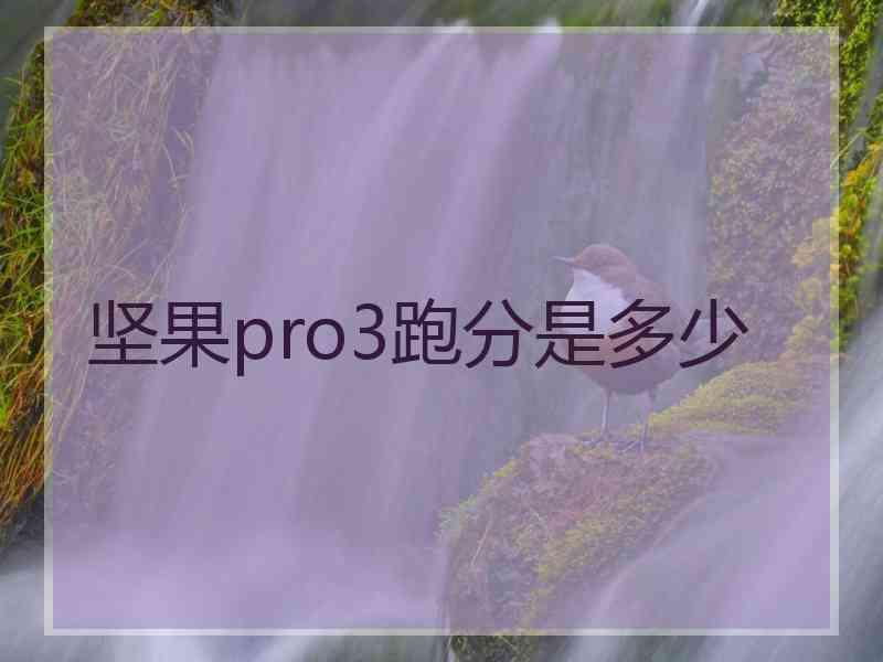 坚果pro3跑分是多少