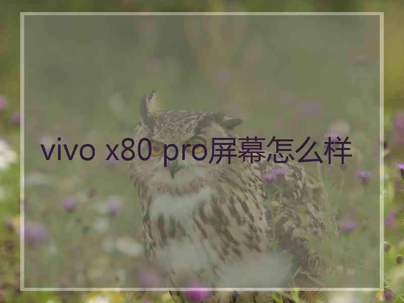 vivo x80 pro屏幕怎么样