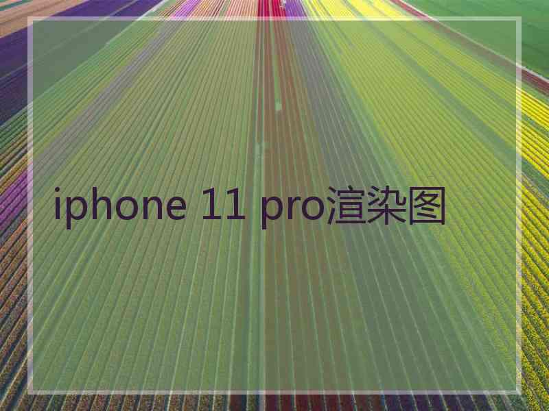 iphone 11 pro渲染图