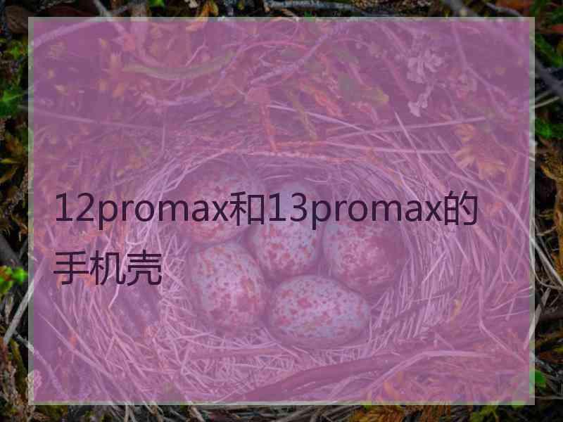 12promax和13promax的手机壳