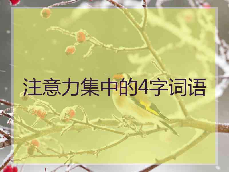 注意力集中的4字词语