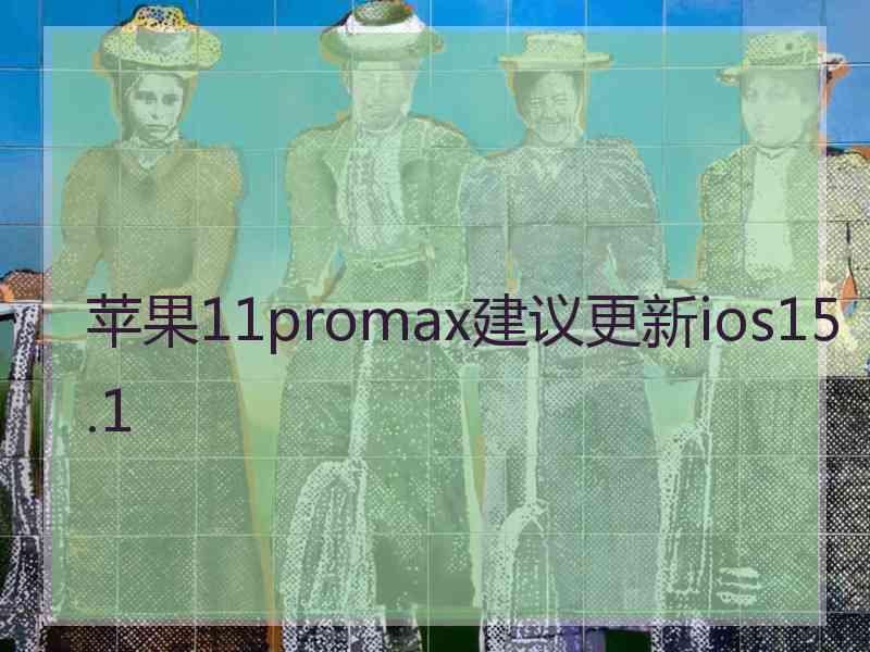 苹果11promax建议更新ios15.1