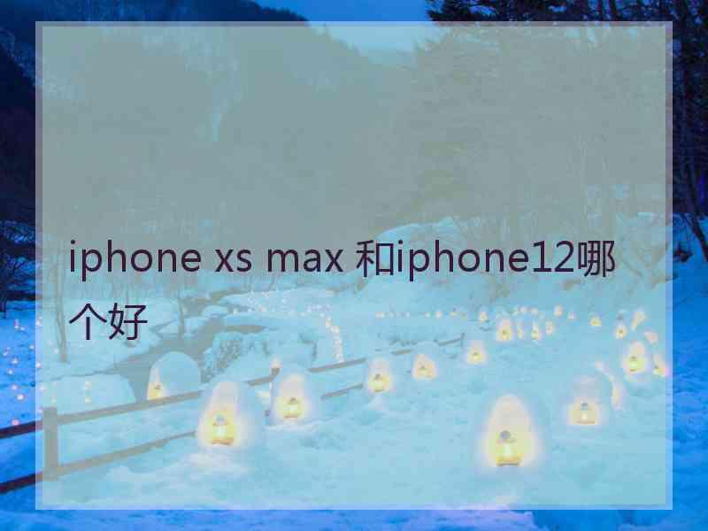 iphone xs max 和iphone12哪个好