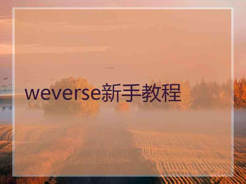 weverse新手教程