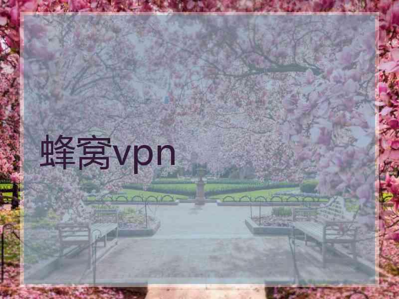 蜂窝vpn