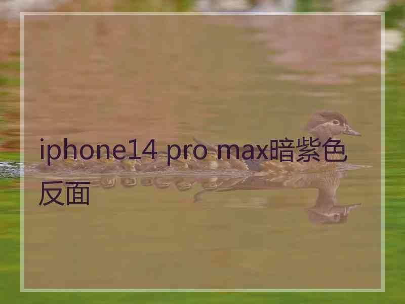 iphone14 pro max暗紫色反面