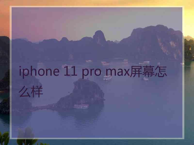 iphone 11 pro max屏幕怎么样