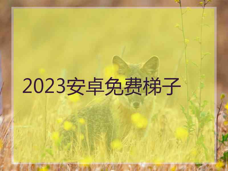 2023安卓免费梯子