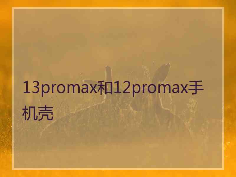 13promax和12promax手机壳