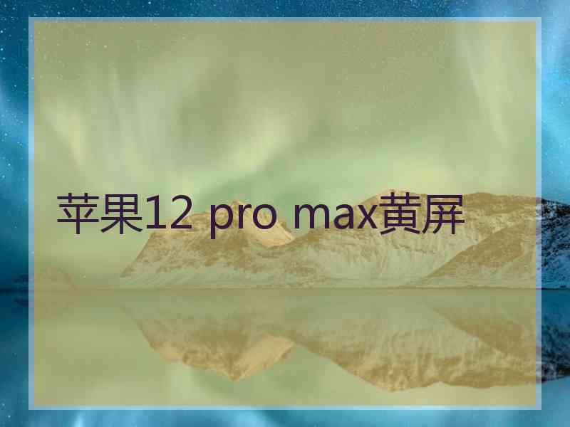 苹果12 pro max黄屏